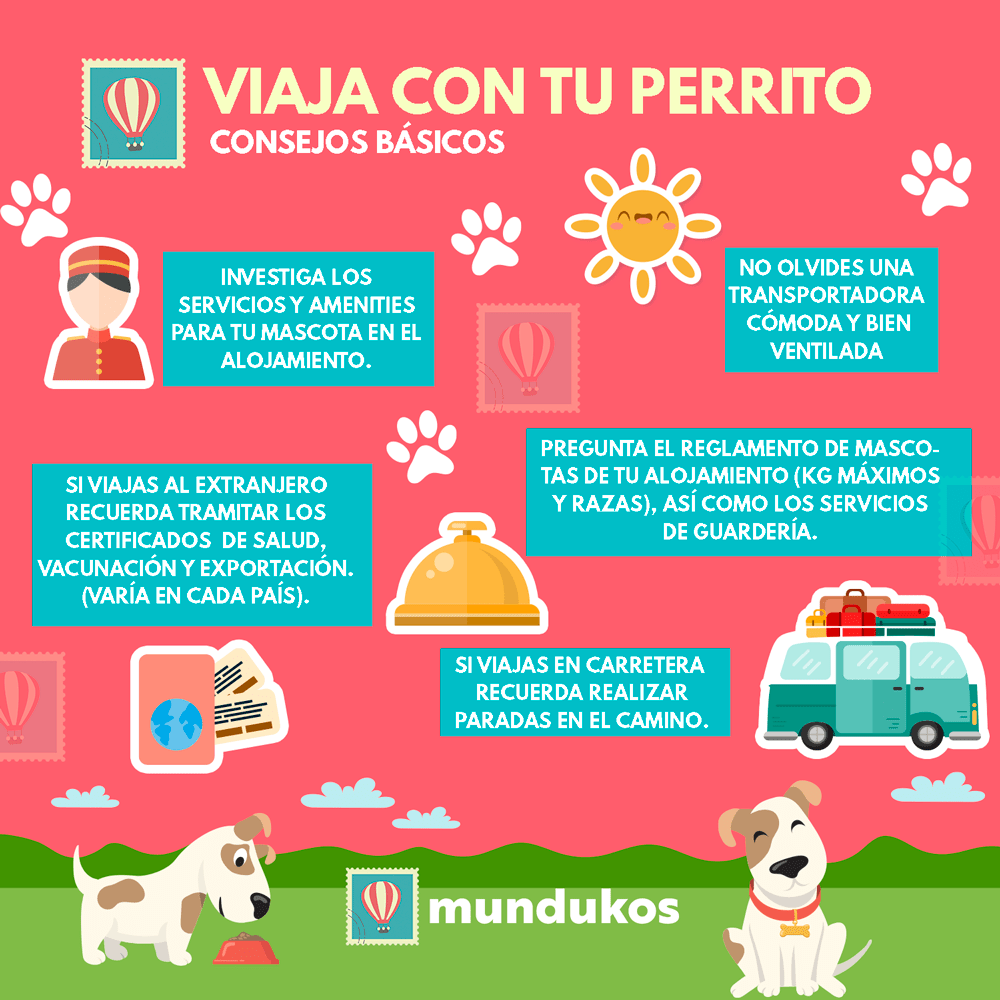 Guía para viajar con mascotas - Guía para viajar